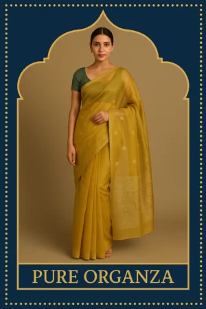 Home 6 kora organza saree